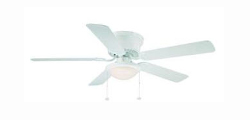 Blue Fan